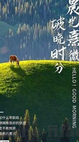 3比0足球比分-3比0,足球场上的完美交响曲,胜利者的独白与启示录