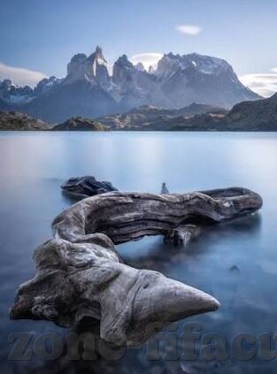 波足球比分-波足球比分，绿茵场上的数字交响曲