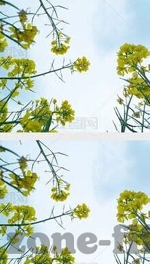 足球比分竞彩比分网-足球比分竞彩比分网，球迷的智慧之选与竞猜乐园